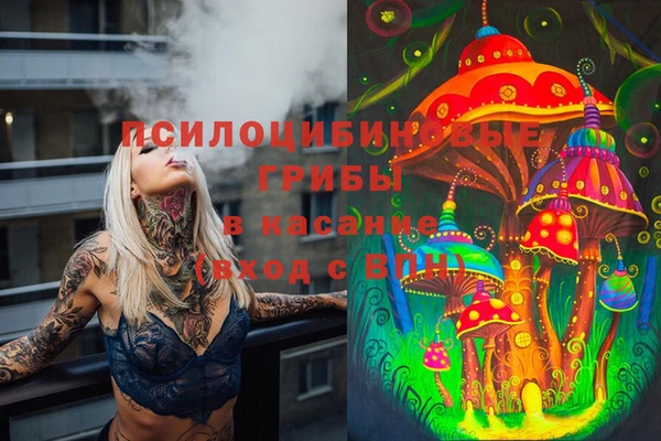 spice Вяземский