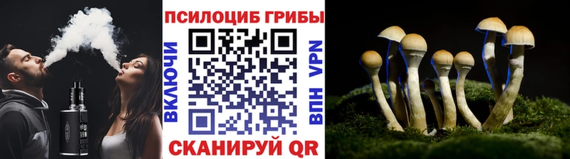 Псилоцибиновые грибы мухоморы  Ермолино 